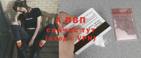 прущие крисы Костерёво