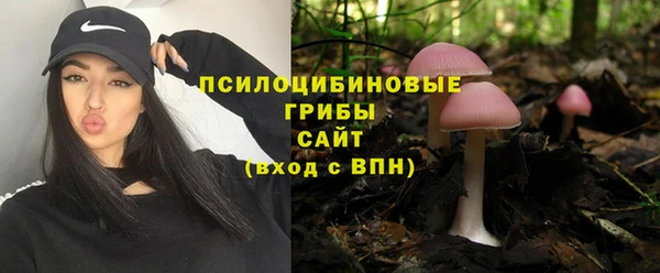 а пвп мука Кулебаки